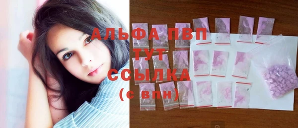 ECSTASY Михайлов
