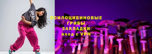 PSILOCYBIN Надым