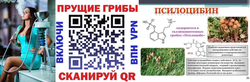 кракен сайт  Нерехта  Псилоцибиновые грибы Psilocybine cubensis 